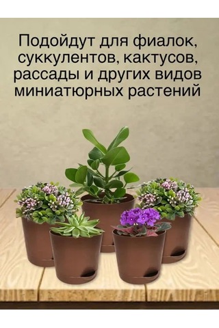 Interm Kaktüs Saksısı Minik Succulent, Menekşe Ve Çiçekler İçin Saksı 133193596