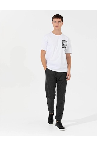 Pierre Cardin Comfort Baskılı Bisiklet Yaka Tişört Renkli
