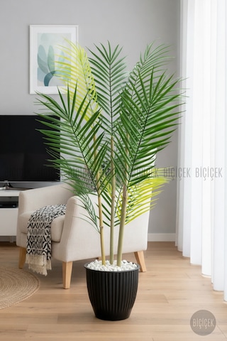 Biçiçek 100 Cm Areka Ağaci 3 Gövdeli̇