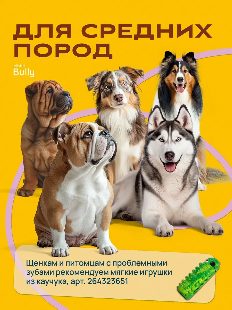 Misterbully Orta Boy Köpekler İçin Diş Dostu Dayanıklı Oyuncaklar 267858640