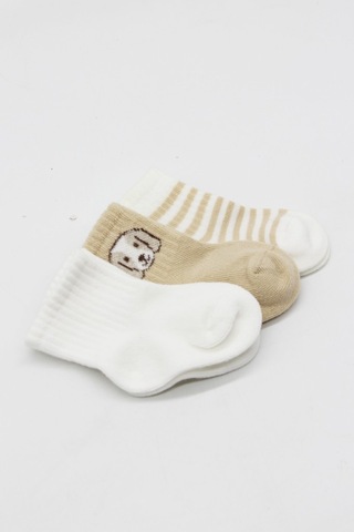 Erturkstore Bistyle Dog Boy 3'lü Penye Soket Çorap 10134 Ekru Çok Renkli