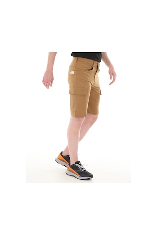The North Face F0a824d1731-r M Horızon Short - Eu Erkek Şort ve Kapri Kahve 001