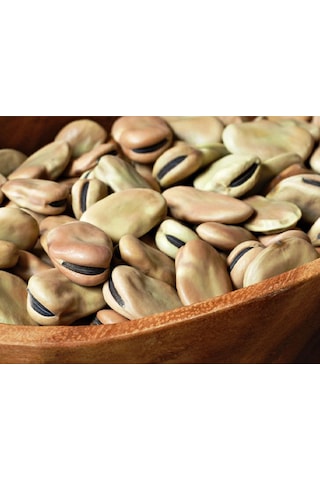 Hatay Çiftliği Kuru Bakla 1kg