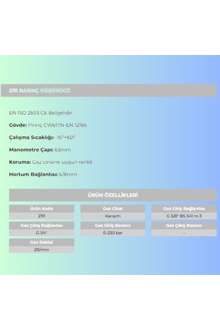 Karışım Gazı Regülatörü 2111