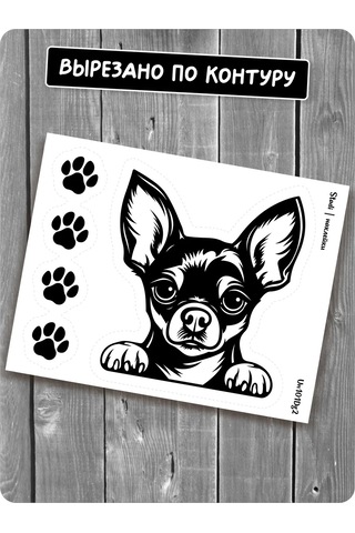 Stadi Dikkat Eden Köpek Etiketi 201967031 Siyah