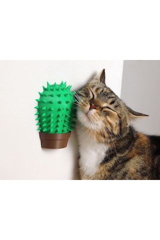 Kedi Otu Hazneli Kedi Oyuncağı Duvara Yapışan Kaşıma & Masaj Aparatı Catnip Uyumlu