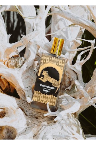 Erkek Parfüm Africa Aromatik Erkek Parfüm Africa Aromatik