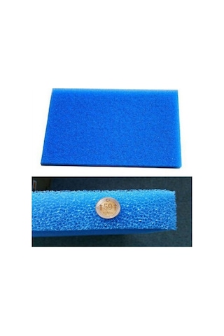 Biolojik Sünger 15 x 15 CM