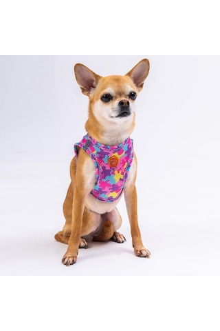 Pawstar Air-mesh Rosea Camouflage Köpek Göğüs Tasması Çok Renkli XS
