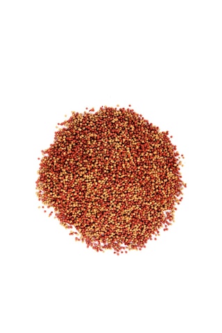 Japon Balığı Yem Vitamin Seti, Lotus Gold Natural ve Mix