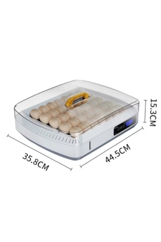 35 Yumurta Kuluçka Makinesi-en Yeni Arena Tasarımı İlhamı