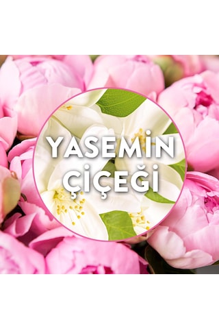Elektrikli Oda Kokusu Yedek Şişe Yasemin Çiçeği 3x19 Ml