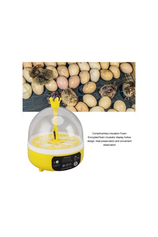 Qianfan Mini Yumurta Kuluçka Makinesi Otomatik Sıcaklık Nem