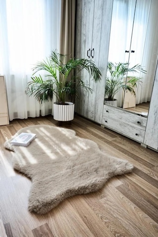 Apex Reiki Vizon Peluş Post Şekilli Halı Vizon
