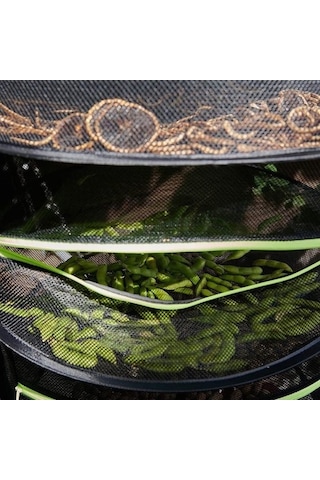 Trendooze Yeşil Seviyeli Luck Kurutma Filesi Eternal Bitki 4 Ek Yeşil