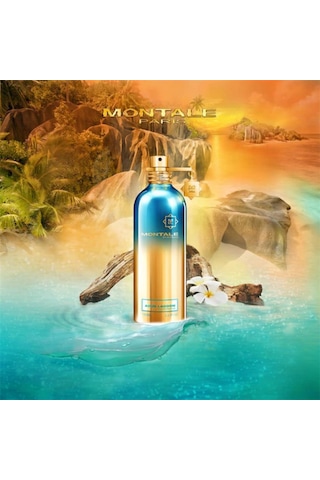 Montale Aoud Lagoon Edp 100 Ml Unisex Parfüm Çiçeksi