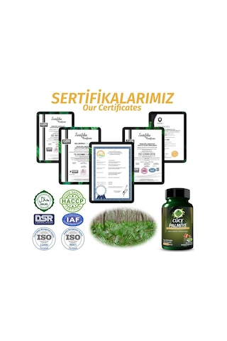 Gökçek Şifa 1000 MG Cüce Palmiye Saw Palmetto Capsule 60 Kapsül
