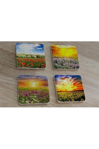 Bahar Çiçekleri Doğal Taş Bardak Altlığı 4'lü Set - Natural Stone Coasters - Taş Çok Renkli
