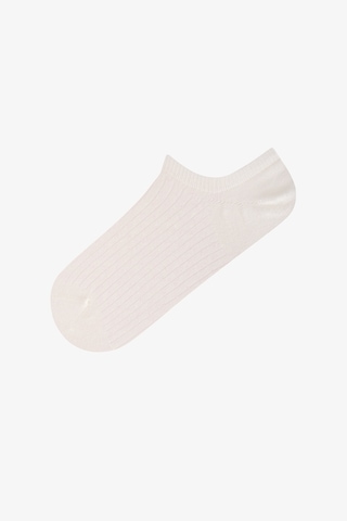 Penti Everyday Çizgili 5 Çift Sneaker Çorap Çok Renkli