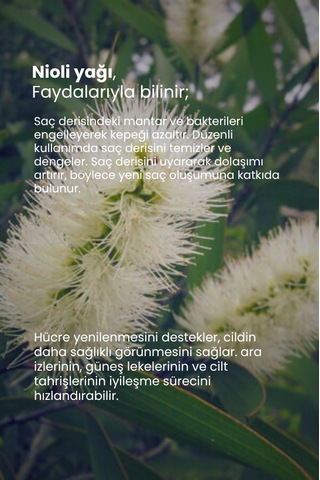 Tto Thermal Nioli Yağı 10 Ml