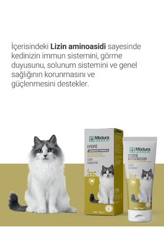 Mixtura Pharma Lysine Kedi Üst Solunum Yolu Macun - Kedi Maltı