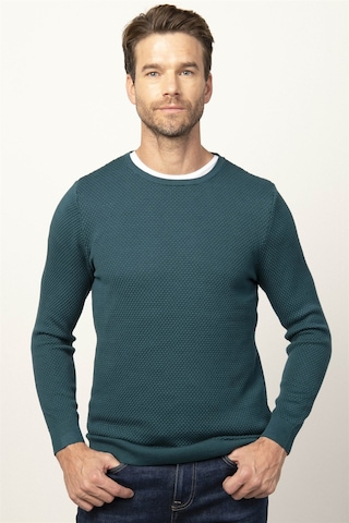 Tudors Slim Fit Dar Kesim Bisiklet Yaka Petek Desenli Erkek Kazak-25839 Yeşil