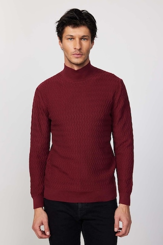 Tudors Slim Fit Dar Kesim Yarım Balıkçı Yaka Desenli Tüylenmeyen Bordo Erkek Triko Kazak-29581 Bordo
