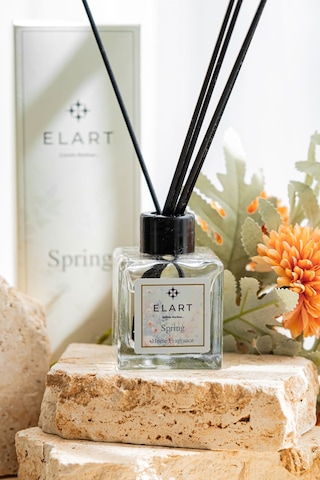 Elart Spring Oda Kokusu 110 Ml Standart Bahar