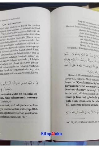 Arapça Tahkikli Haşiyetü't Tahtavi Ala Meraki'l Felah 2 Cilt