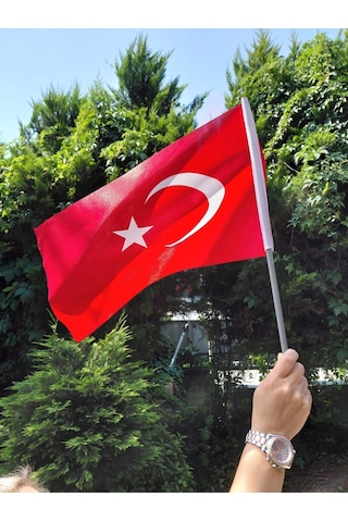 Vatan Sopalı Bayrak Bez 20x30 Bayrak 10'lu Diğer