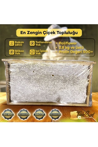 Tanbal Yayla Çiçek Balı 2800 G