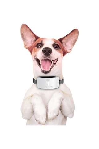 Doggie Havlama Önleyici Eğitim Tasması Ayarlanabilir Beyaz