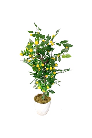 Limon Ağacı Yeşil Yapraklı Doğal Görünümlü Yapay Ağaç 100 Cm Beyaz