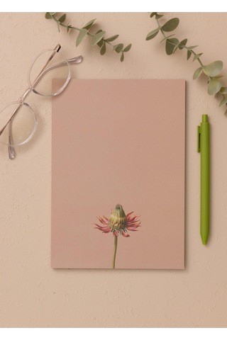 The Mia Art Line Mini Notluk Coneflower 15x21 Cm 40 Yaprak
