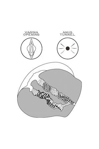 Erotixshop Streetgirls Gerçekçi Et Dokusunda Anal Vajinal Girişli Realistik Kalça Mastürbatör