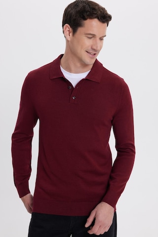 Tudors Erkek Standart Fit Normal Kesim Pamuklu Polo Yaka Bordo Kazak-41883 Bordo