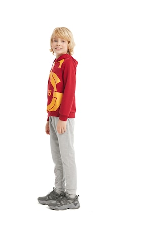 Galatasaray Büyük Logolu Çocuk Sweatshirt C88154 Kırmızı