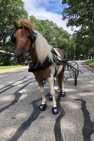 Cavallo Hoof Boots F.r.a. Clb Bling Hoof Botları Çift Minyatür At Ve Midilliler Için At Koşu Ekipmanları