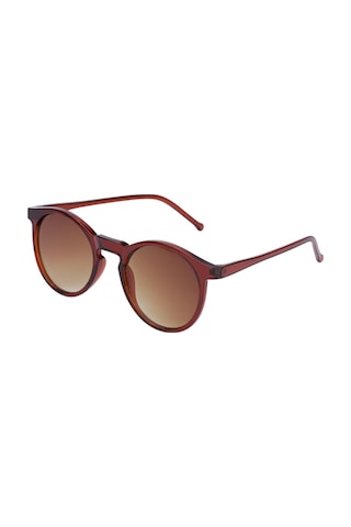 Carmelo Eyewear C02gk034 Kahverengi Kadın Güneş Gözlüğü