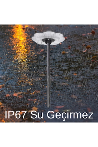 Forlife 200W Güneş Enerjili Solar Çiçek Sokak Armatürü (Direkli)
