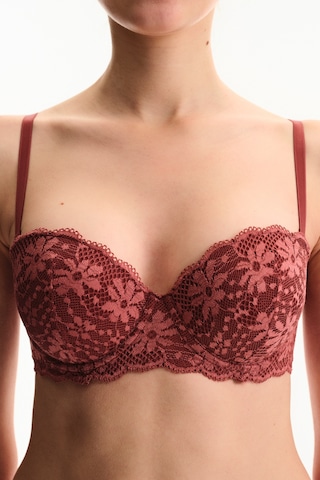 Penti Bordo Pop Up Destekli Lace Dantel Sütyen
