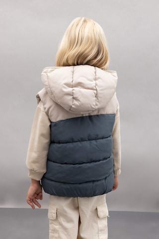 Defacto Erkek Bebek Su İtici Polar Astarlı Blok Renk Desenli Kapüşonlu Şişme Yelek A2848A524AUGR314 Gri