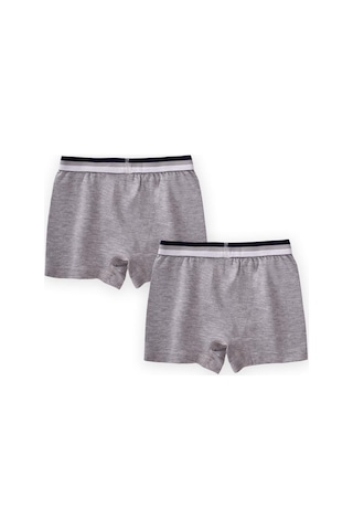 Cigit İkili Boxer 2-9 Yaş Gri