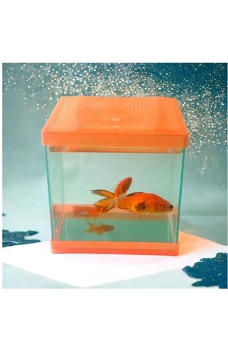 Canlipetshop Turuncu Renkli Mini Kare Akvaryum 20x20x15 CM