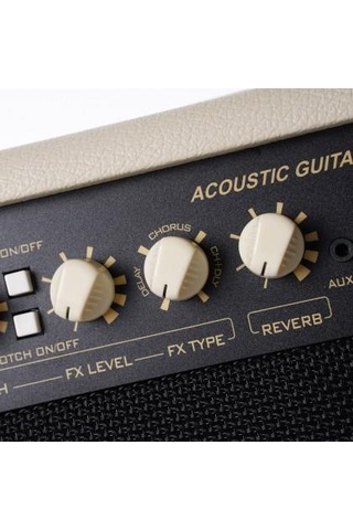 Cort Af60 Akustik Gitar Ve Enstrüman Amfisi Orta/profesyonel Seviye 60 Watt Güç, Çift Kanal Girişi, Dahili Reverb/chorus Efektleri Ve Çelik Izgara