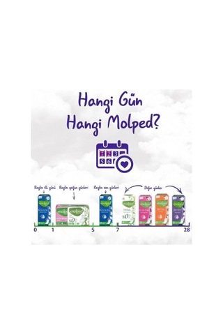 Molped Günlük Ped Süper Ekonomik Yoğun Koruma 60 Lı X 4 Adet PKT.MOLPED.027