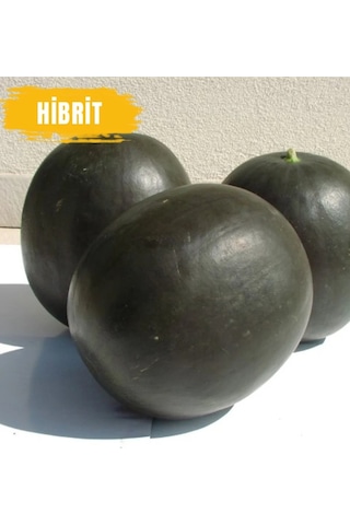 300 Adet Hibrit Karpuz Tohumu