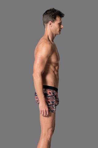 Eros 019 Erkek Compact Yaprak Boxer Çok Renkli