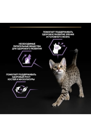 Purına Pro Plan Yavru Kediler İçin Tavuklu Jöleli Islak Mama 85 G X 26 Adet 208398884