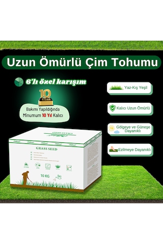 Ebitkisel Çok Yıllık Çim Tohumu 10 Kg Uzun Ömürlü 6'lı Karışım